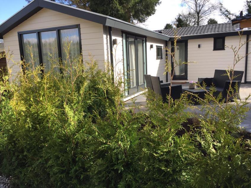 Huisjes Putten Reewold Chalet In Rustige En Mooie Omgeving Εξωτερικό φωτογραφία